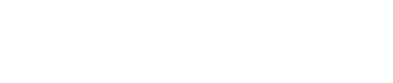 VNLP Logo - White Transparent